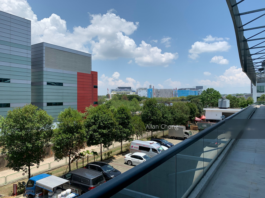 Oxley Bizhub (D14), Factory #211651911